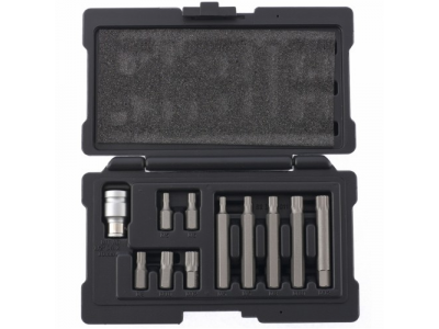 Набор бит SPLINE, хвостовик-шестигранник 1 1/2'', CrV,10 мм, 11 пред// STELS от STELS Набор бит SPLINE, хвостовик-шестигранник 1 1/2'', CrV,10 мм, 11 пред// STELS