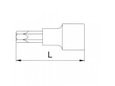 Головка торцевая с вставкой torx 1/2" T45 L=100мм