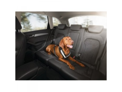 Ремень для собаки в салоне Audi, артикул 8X0019409 от VAG Ремень для собаки в салоне Audi, артикул 8X0019409