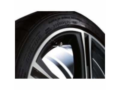 Колпачки для ниппелей Mercedes-Benz Dust Caps Black, артикул B66472002 от Mercedes Колпачки для ниппелей Mercedes-Benz Dust Caps Black, артикул B66472002